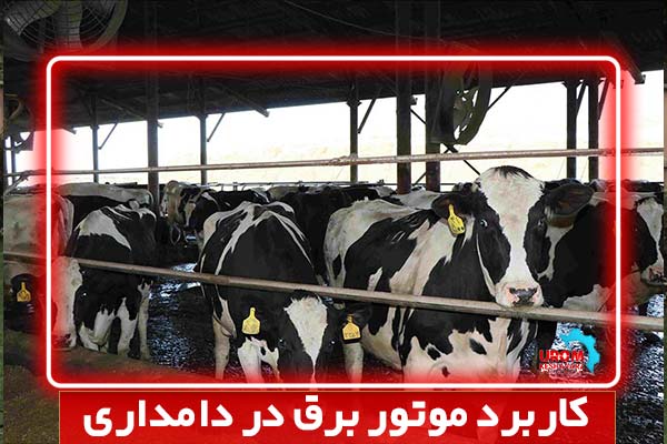 کاربرد موتور برق در دامداری