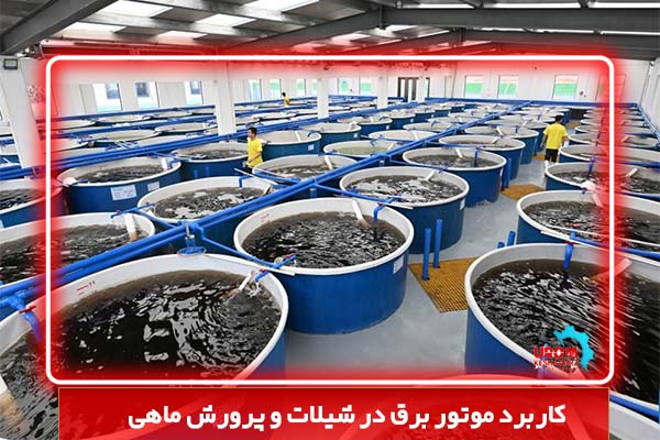 کاربرد موتور برق در شیلات و پرورش ماهی
