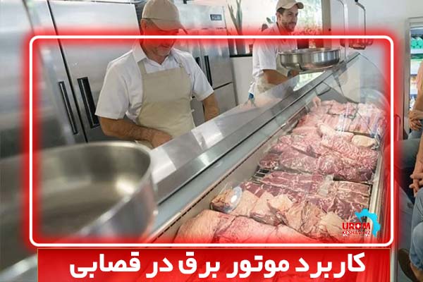 کاربرد موتور برق در قصابی